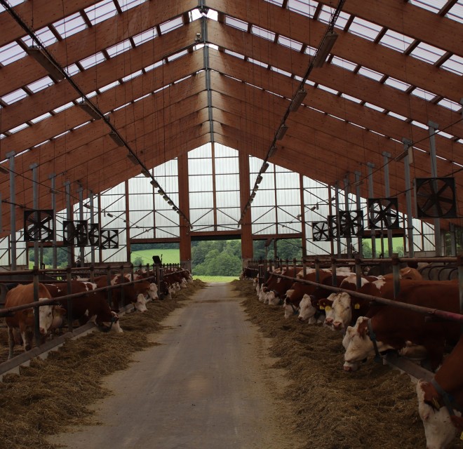 Rekonstrukce stáje Výprachtice (foto 4)