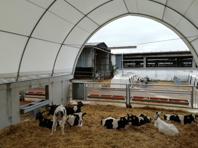 Novostavba teletníku Olbramkostel (foto 2)