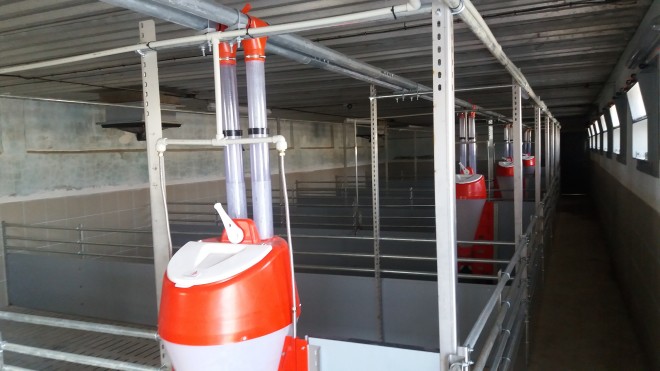 Modernizace stáje pro odchov prasnice Střížov (foto 3)